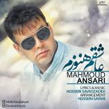 کاور آهنگ عاشقم هنوز