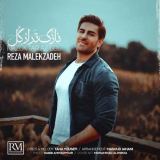 کاور آهنگ نازک تر از گل