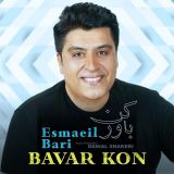 کاور آهنگ باور کن