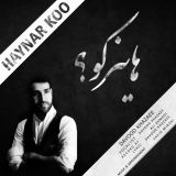 کاور آهنگ هاینر کو