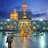 کاور آهنگ آمدم ای شاه ( امام رضا ) پناهم بده