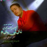 کاور آهنگ نازلی یارم