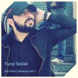 کاور آهنگ بال آریسی
