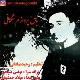 کاور آهنگ بال پروازم شکانی