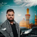 کاور آهنگ تموم سال