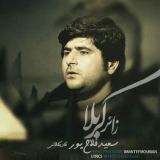 کاور آهنگ زائر کربلا