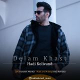 کاور آهنگ دلم خواست
