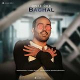کاور آهنگ بغل