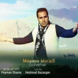 کاور آهنگ گل وهار