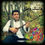 کاور آهنگ دلتنگ وطن