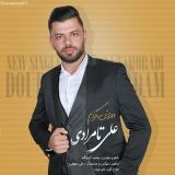 کاور آهنگ دورش بگردم