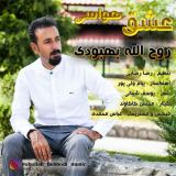 کاور آهنگ عشق هواسی