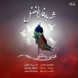 کاور آهنگ شه باوفا ابولفضل