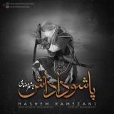 کاور آهنگ پاشو داداش