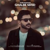 کاور آهنگ قلب سفید