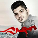 کاور آهنگ نوای محرم