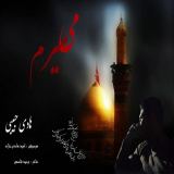 کاور آهنگ میمیرم