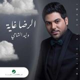 کاور آهنگ الرضا غایه