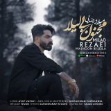 کاور آهنگ مجنون بی لیلا