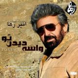 کاور آهنگ واسه دیدن تو