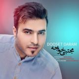 کاور آهنگ دوست دارم
