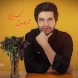 کاور آهنگ رنگ زیبایی