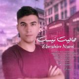 کاور آهنگ حالیت نیست