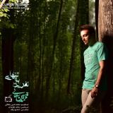 کاور آهنگ نفرین به تنهایی