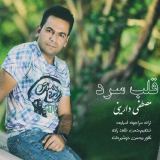 کاور آهنگ قلب سرد