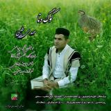 کاور آهنگ کوگ دنا
