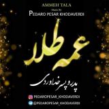کاور آهنگ عمه طلا