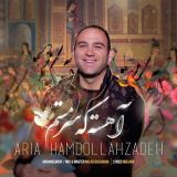 کاور آهنگ آهسته که سر مستم