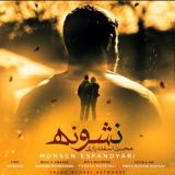 کاور آهنگ نشونه