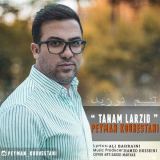 کاور آهنگ تنم لرزید