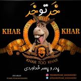 کاور آهنگ خر تو خر