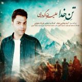 کاور آهنگ تن خدا