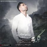 کاور آهنگ گلایه