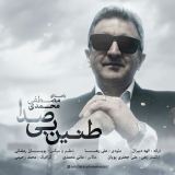 کاور آهنگ طنین بی صدا