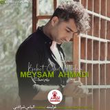 کاور آهنگ بهت قول میدم