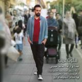کاور آهنگ سکوت غریب