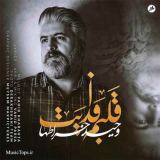 کاور آهنگ قلبم فدایت