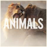 کاور آهنگ Animals
