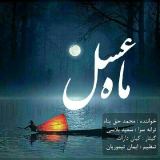 کاور آهنگ ماه عسل