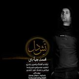 کاور آهنگ تش دل