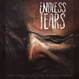 کاور آهنگ Endless Tears ( سبک راک )