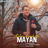 کاور آهنگ دلمو دیوونه کن