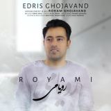 کاور آهنگ رویامی
