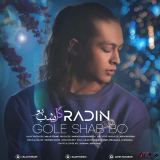 کاور آهنگ گل شب بو