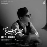 کاور آهنگ خیلی مردی