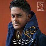 کاور آهنگ دلم میره برات